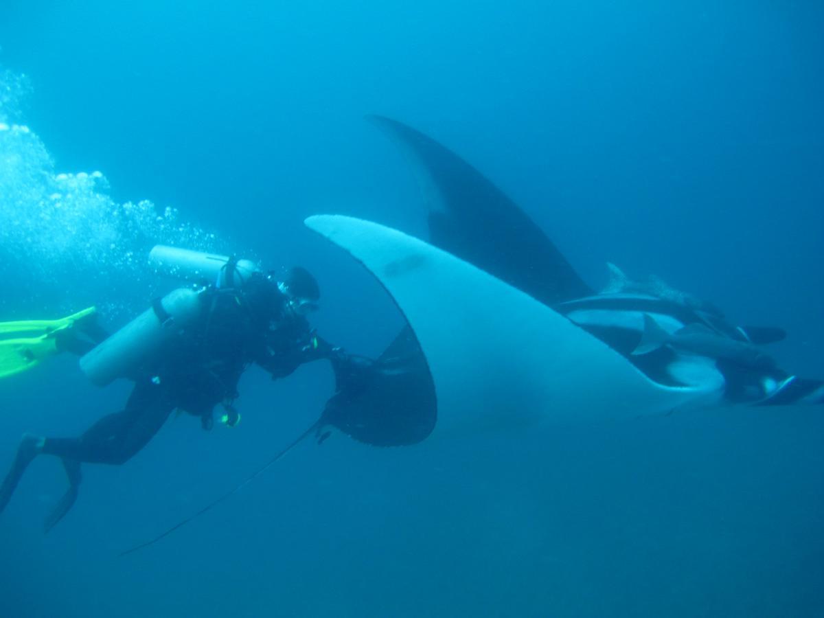 Mantaraya Lodge Puerto Lopez Ngoại thất bức ảnh